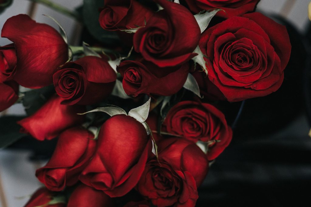 rose rosse san valentino